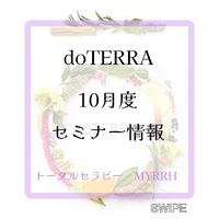 画像273
