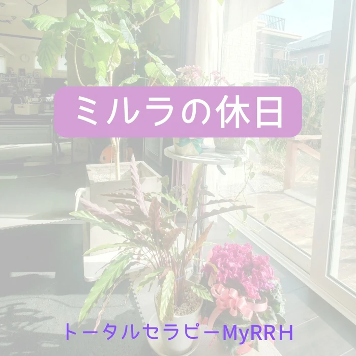 画像294