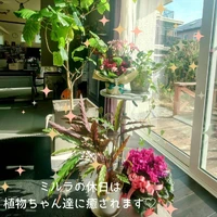 画像295