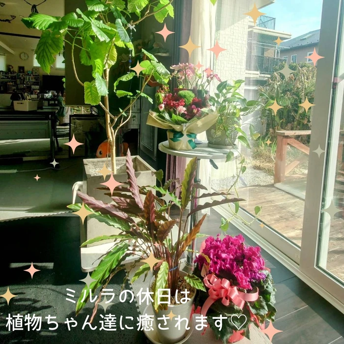 画像295